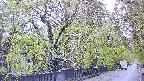 area3-20250429164028.jpg