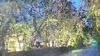 area3-20250429185028.jpg