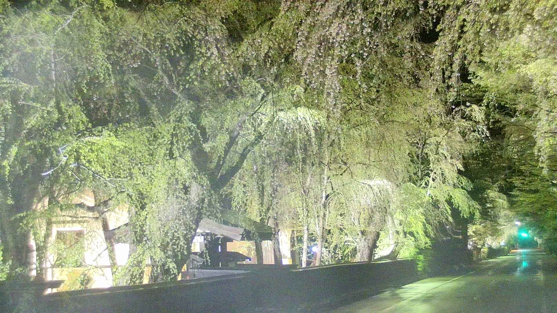 area3-20250429211028.jpg
