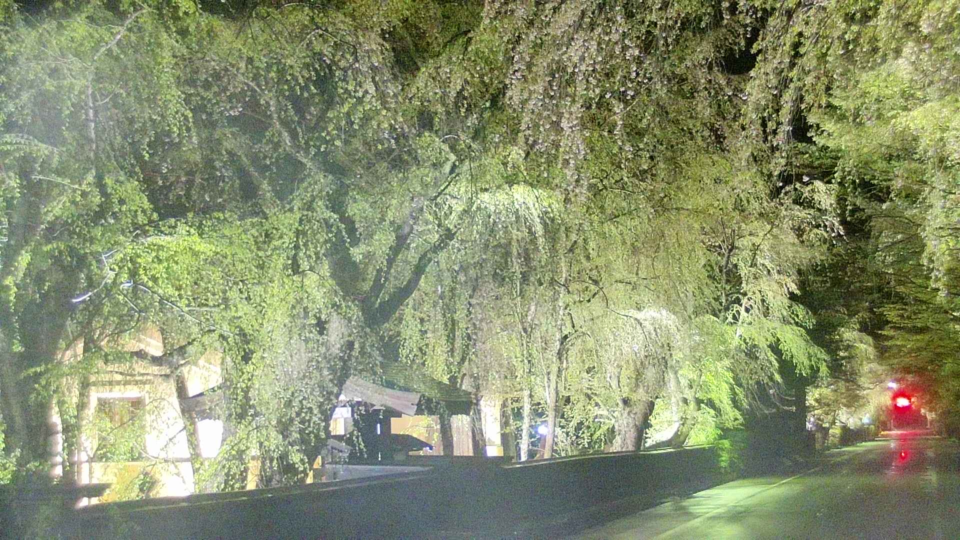 area3-20250429212026.jpg