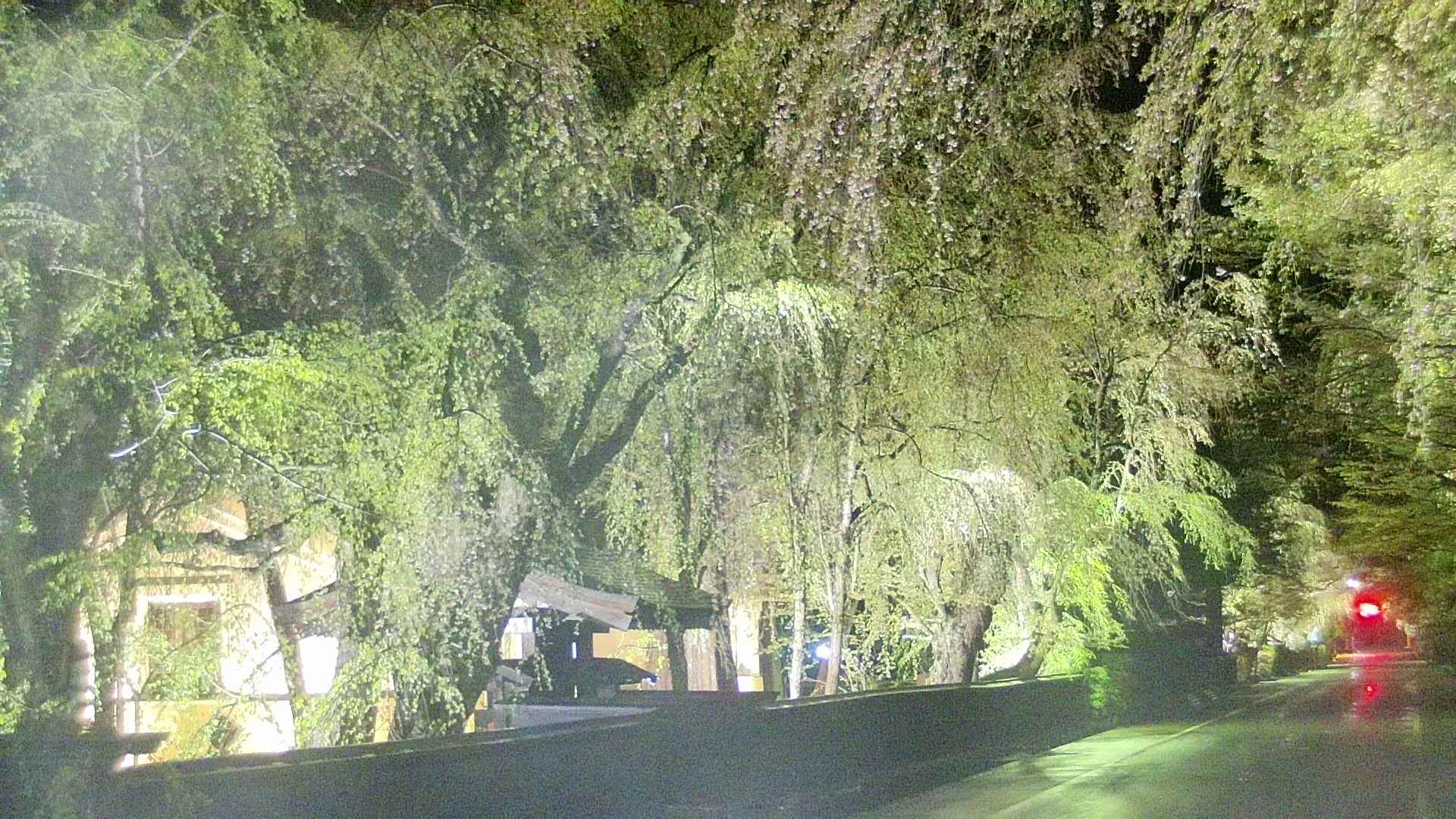 area3-20250429213028.jpg