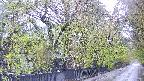 area3-20250430064028.jpg