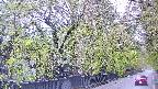 area3-20250430074027.jpg
