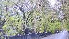 area3-20250430084028.jpg