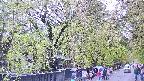 area3-20250430111027.jpg