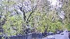 area3-20250430115027.jpg