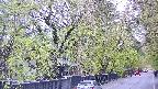 area3-20250430161027.jpg