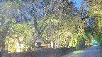area3-20250430185027.jpg