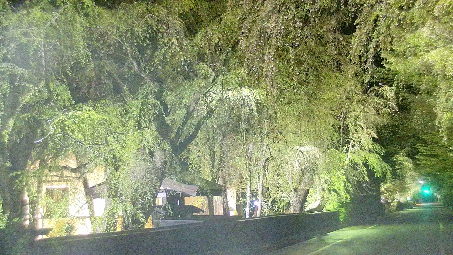 area3-20250430211028.jpg