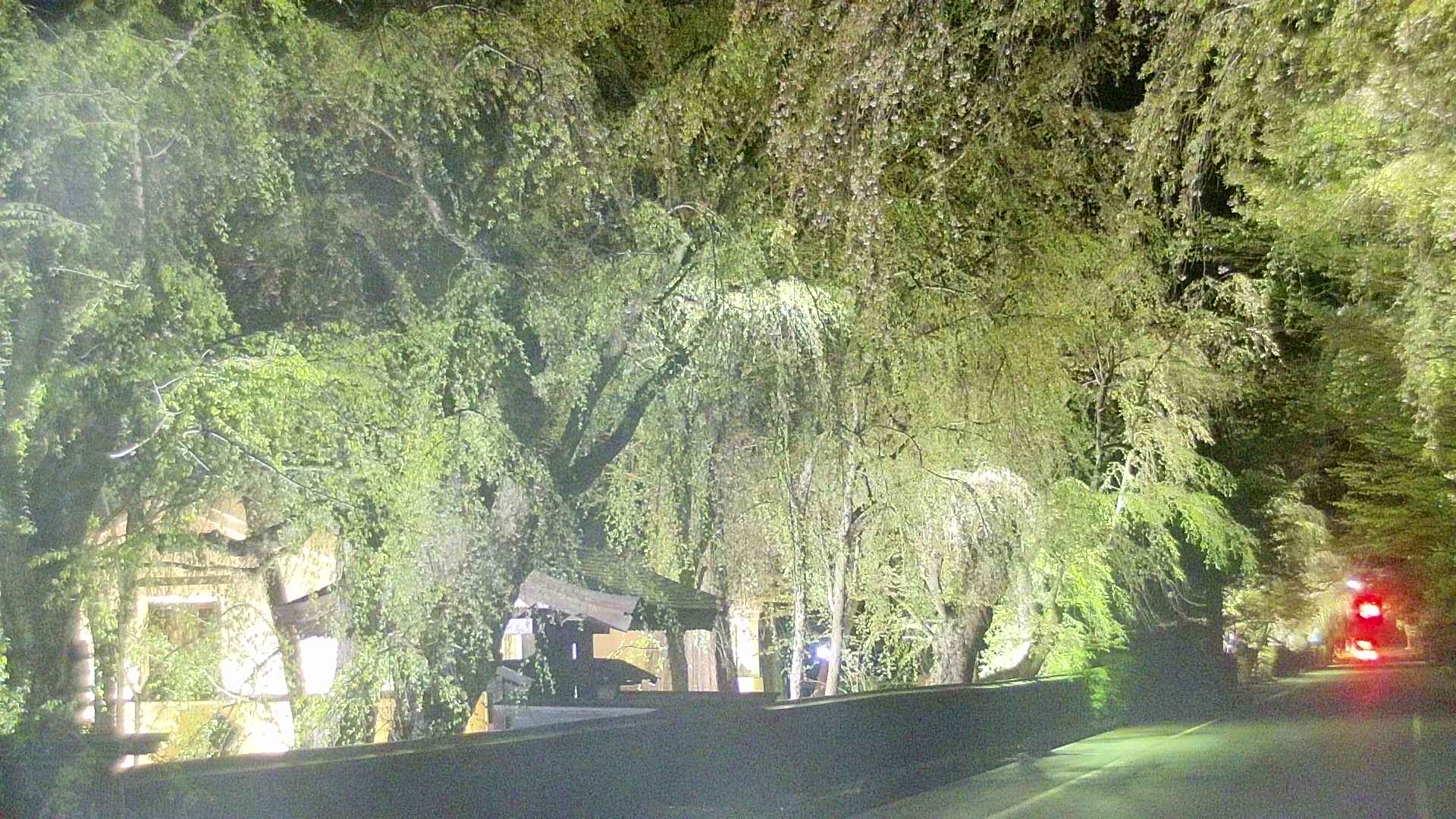 area3-20250430213029.jpg