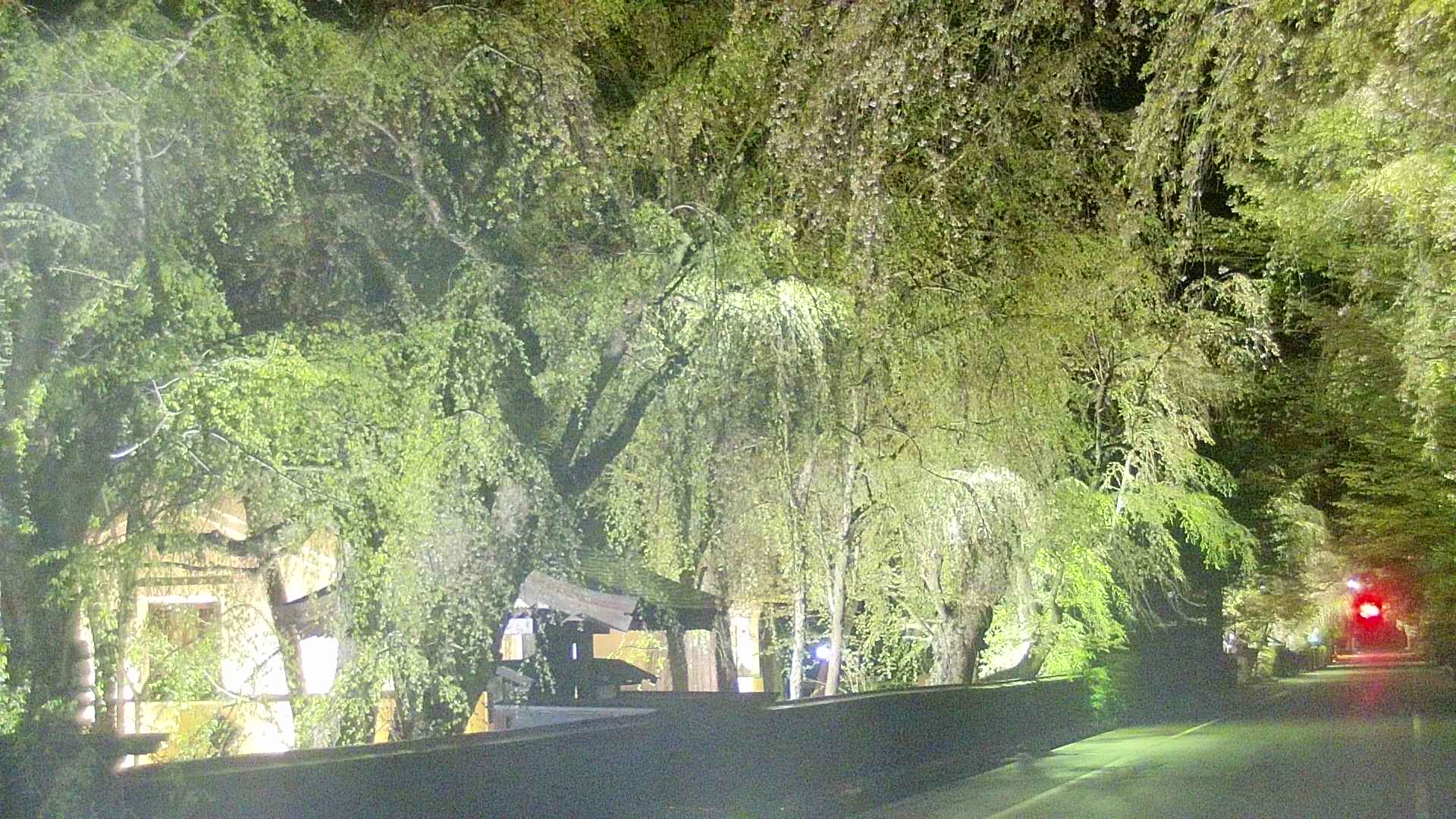 area3-20250430215028.jpg