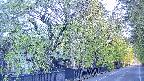 area3-20250501060027.jpg