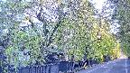 area3-20250501061029.jpg