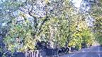 area3-20250501062028.jpg