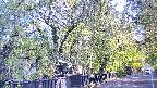 area3-20250501065029.jpg