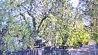 area3-20250501070028.jpg