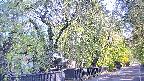 area3-20250501071028.jpg