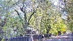 area3-20250501073029.jpg