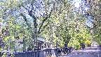 area3-20250501080028.jpg
