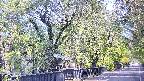 area3-20250501082028.jpg
