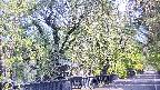area3-20250501083029.jpg