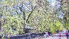 area3-20250501101028.jpg
