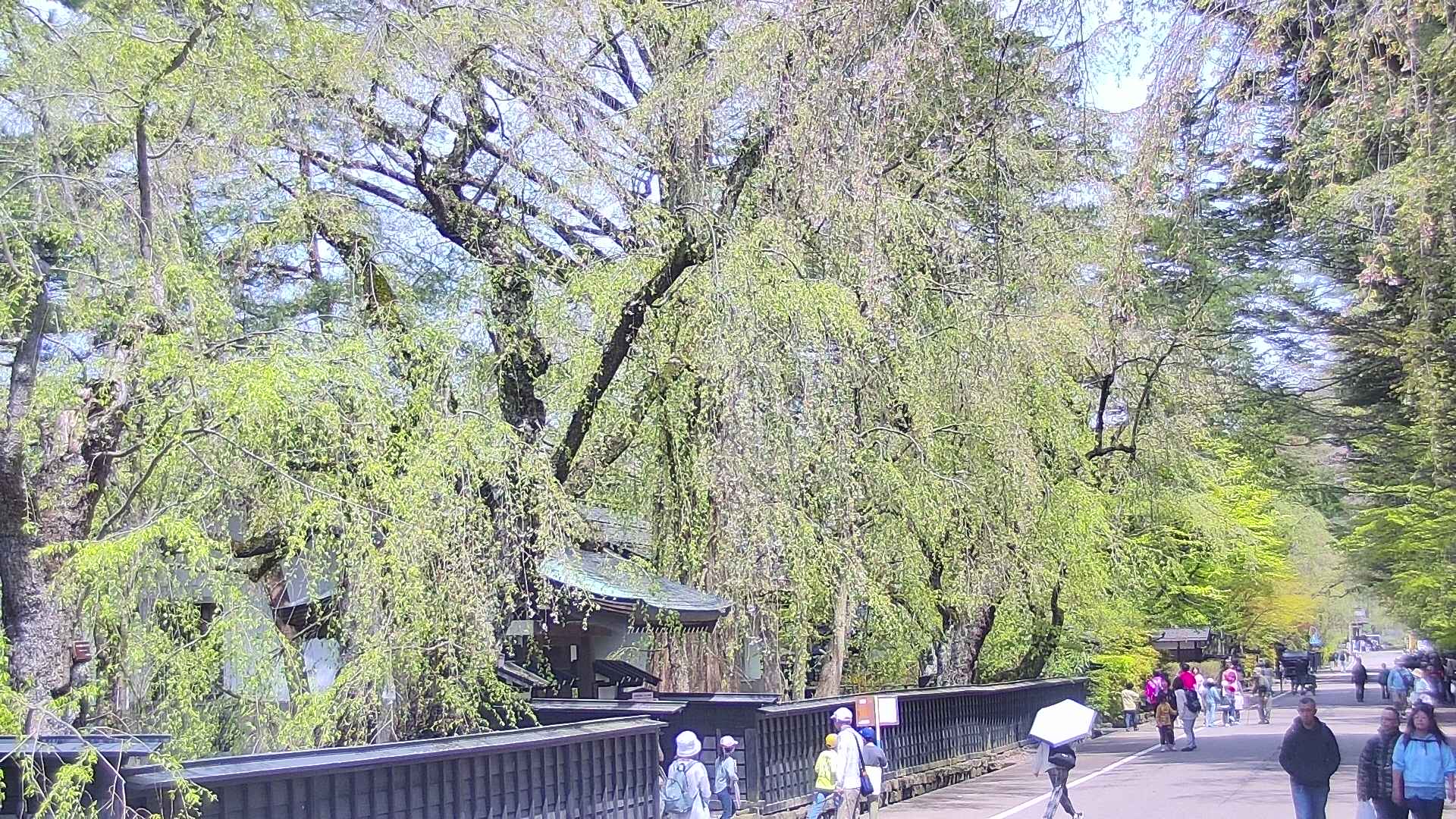area3-20250501103026.jpg