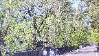 area3-20250501120027.jpg