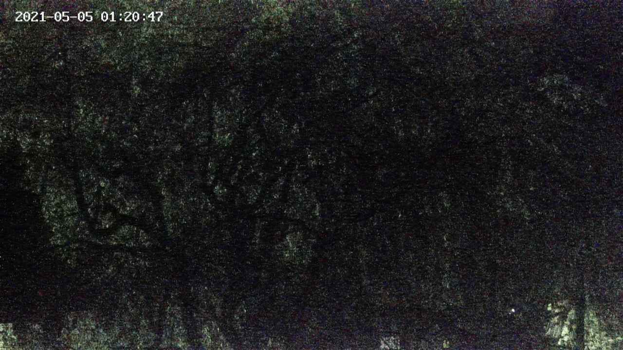 area4-20210505012048.jpg