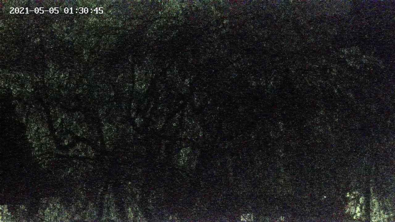 area4-20210505013047.jpg
