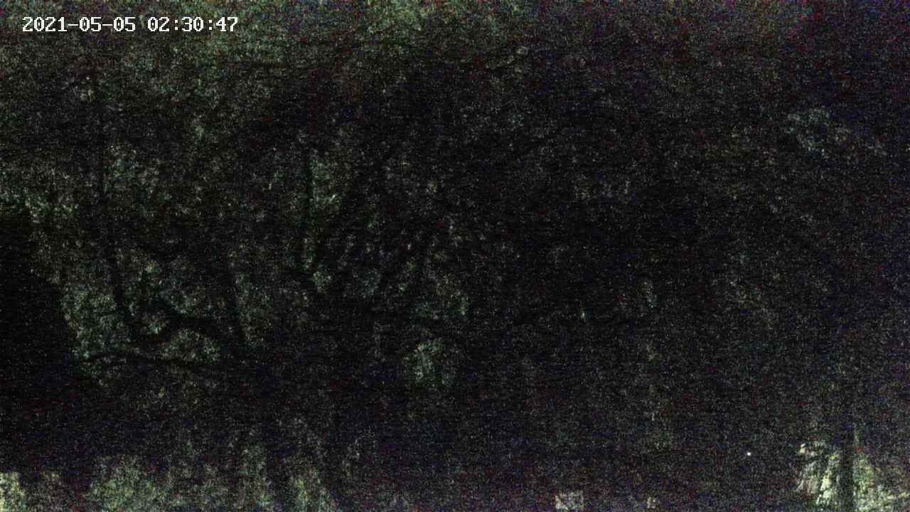 area4-20210505023049.jpg