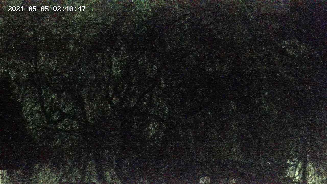 area4-20210505024048.jpg