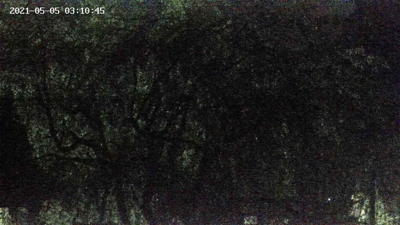 area4-20210505031046.jpg