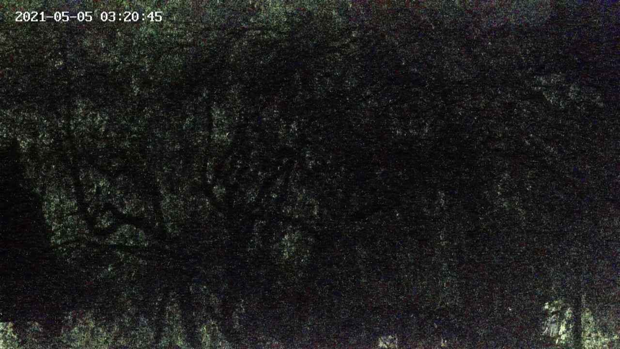 area4-20210505032047.jpg