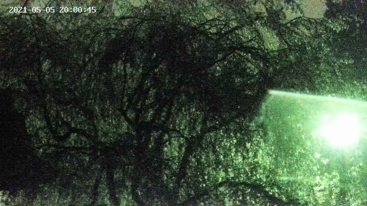 area4-20210505200046.jpg