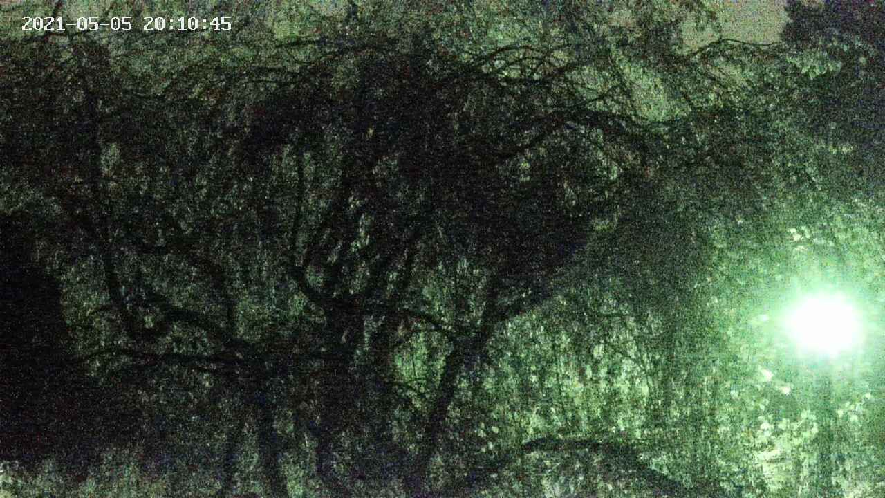 area4-20210505201046.jpg