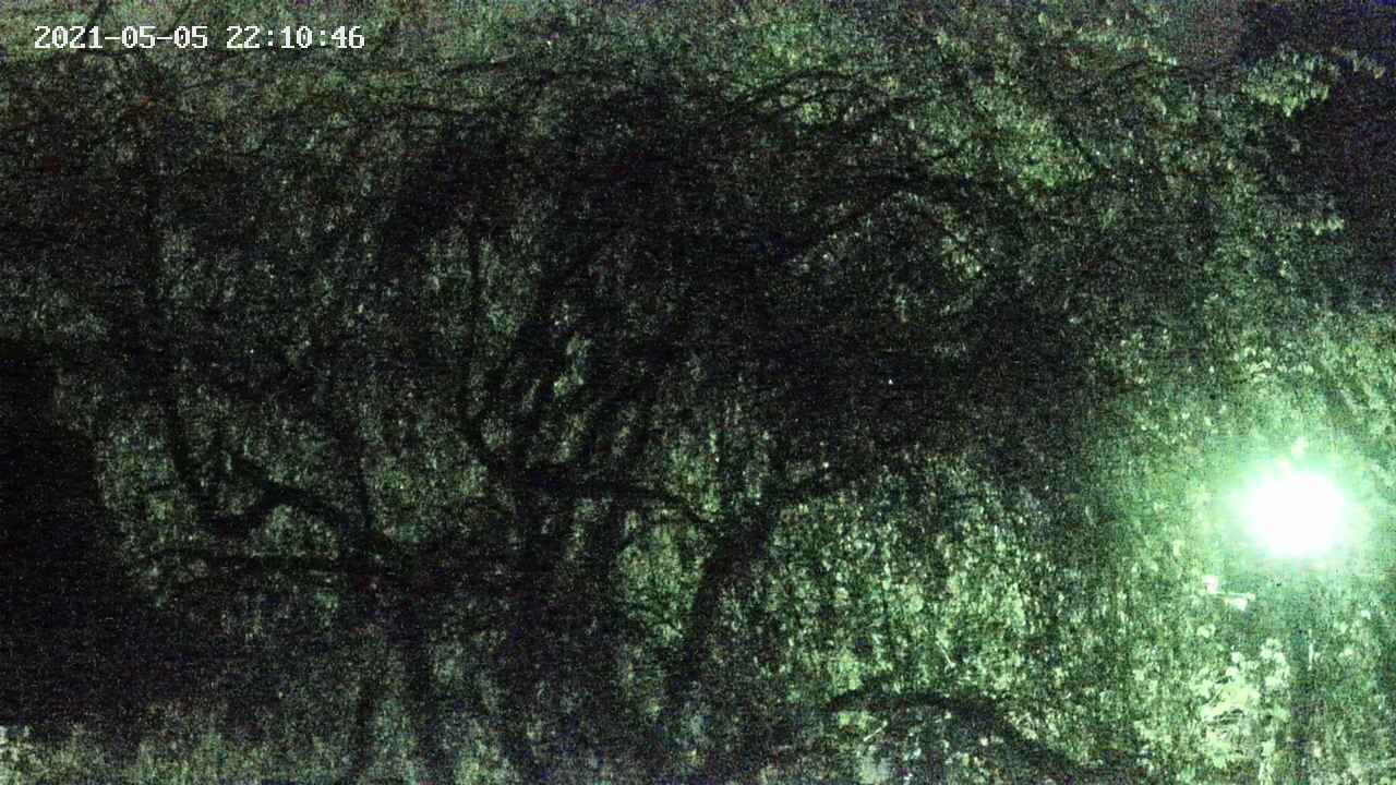 area4-20210505221047.jpg