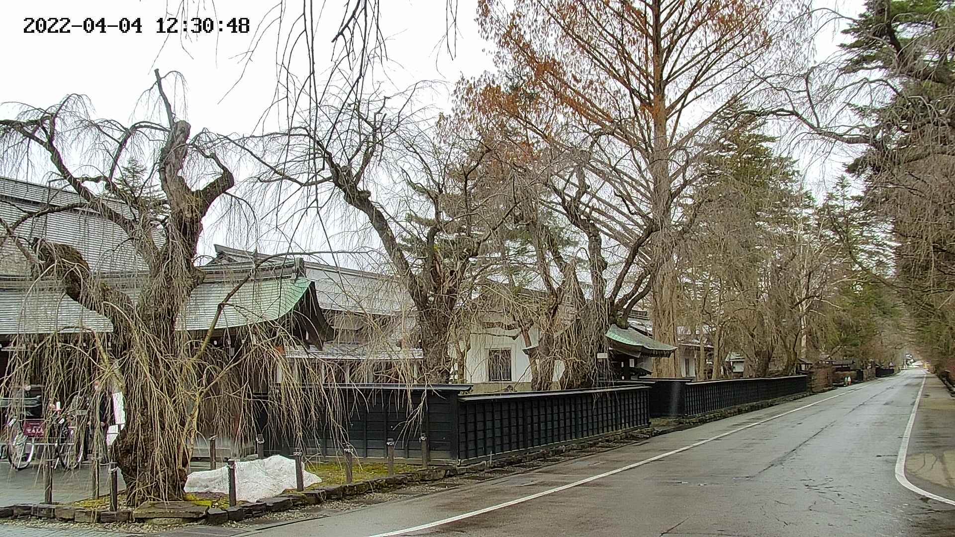 area4-20220404123052.jpg