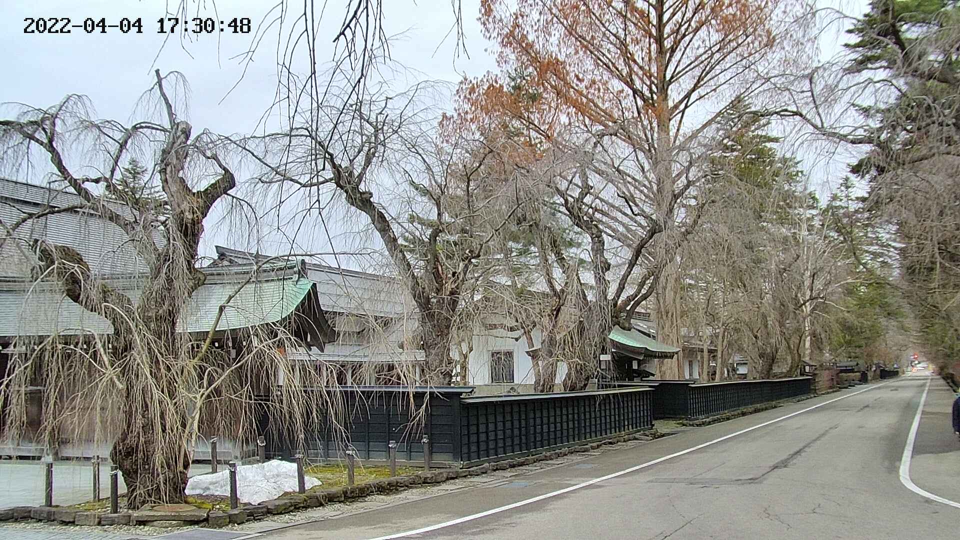 area4-20220404173050.jpg