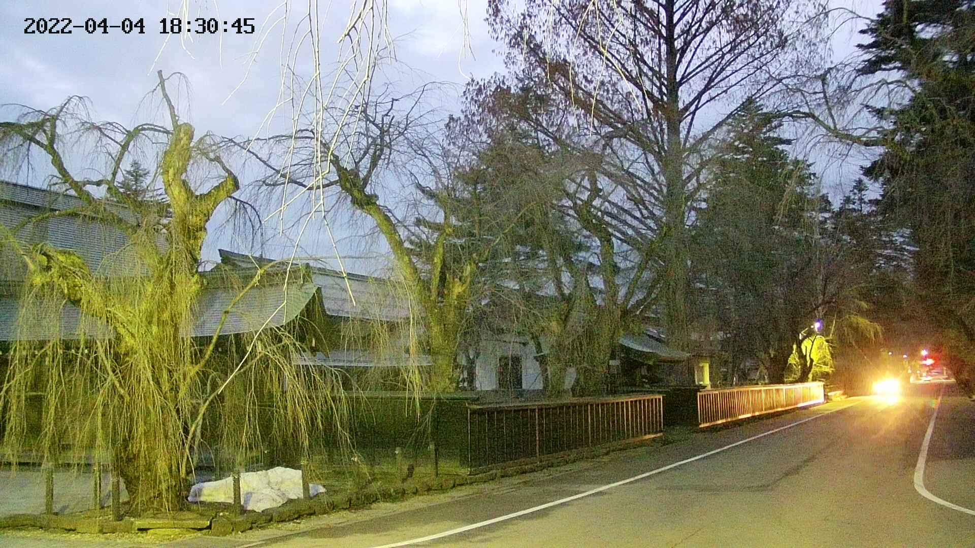 area4-20220404183047.jpg
