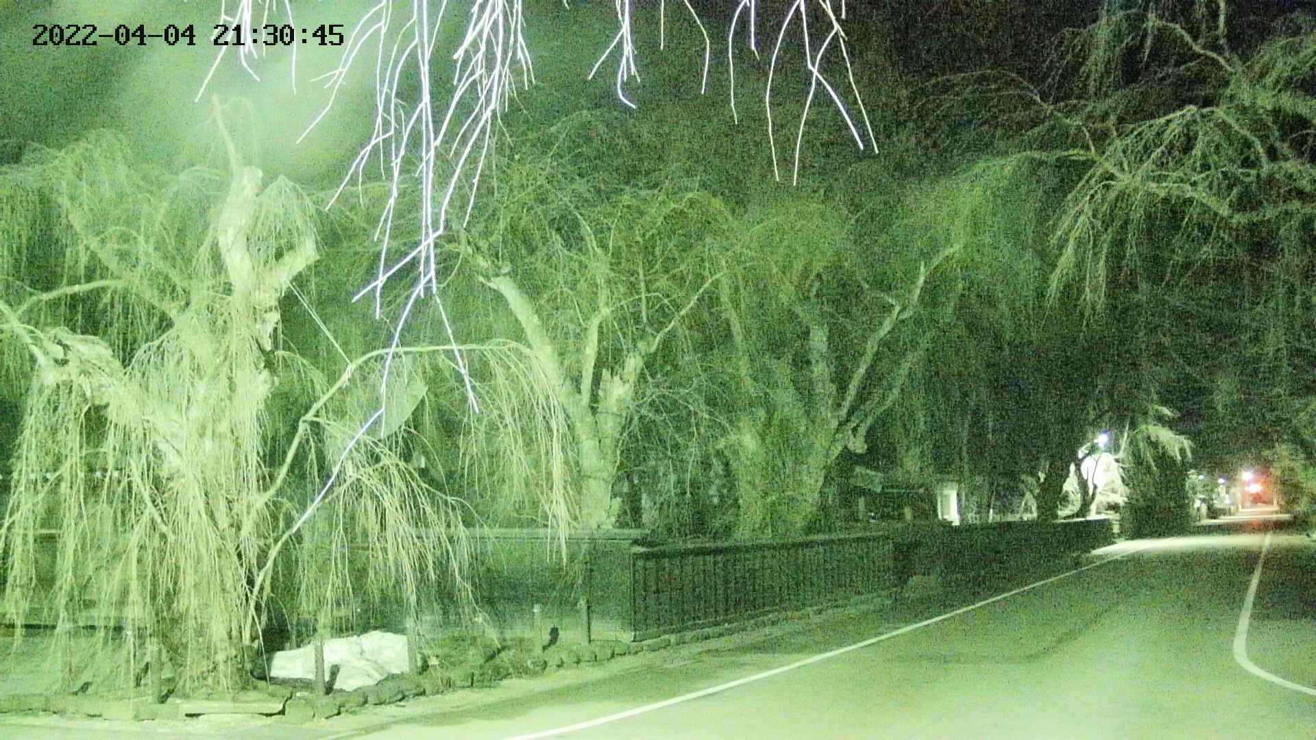 area4-20220404213047.jpg