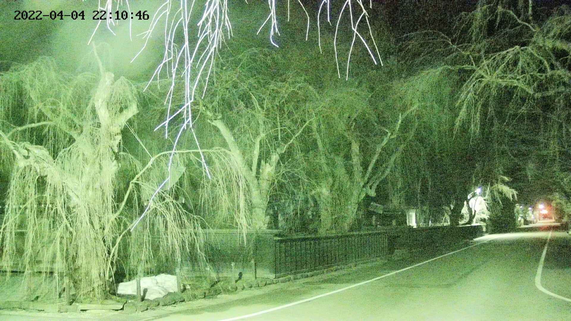 area4-20220404221048.jpg