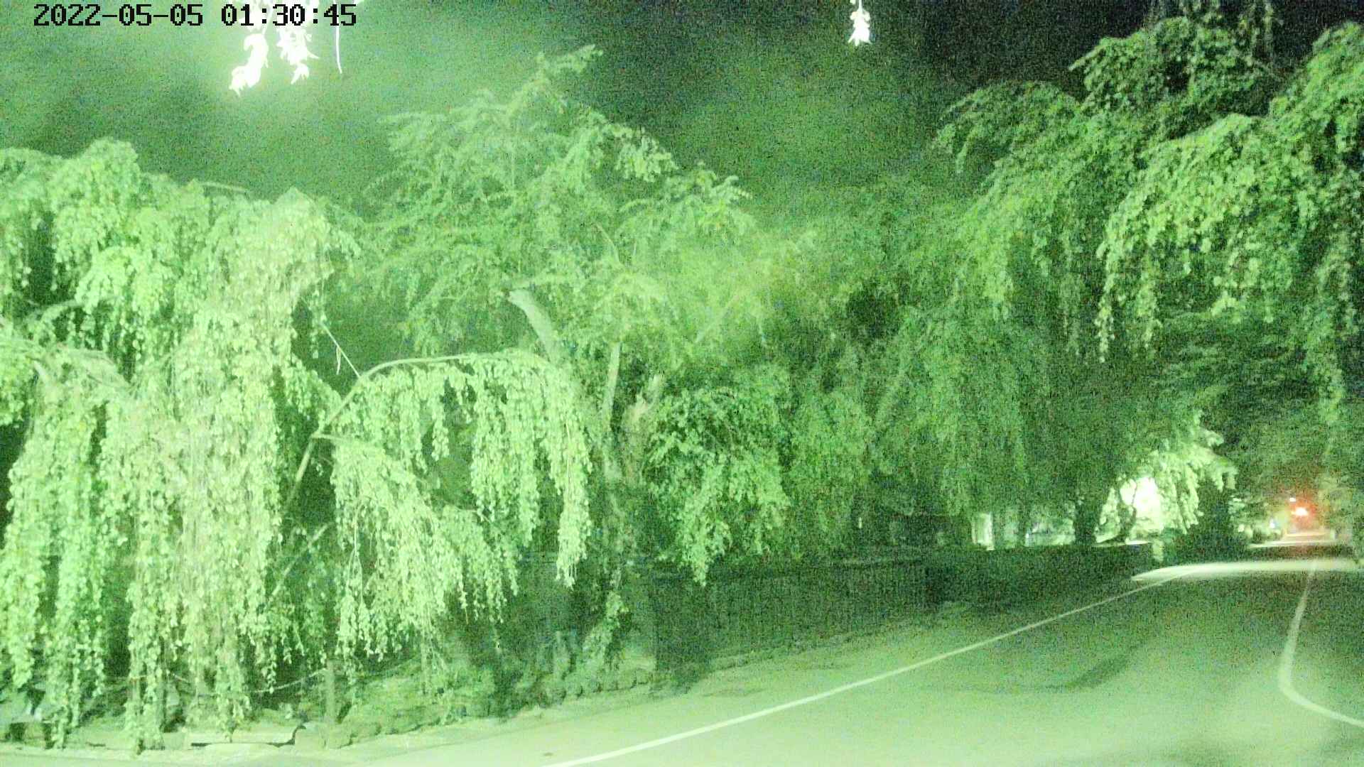 area4-20220505013047.jpg