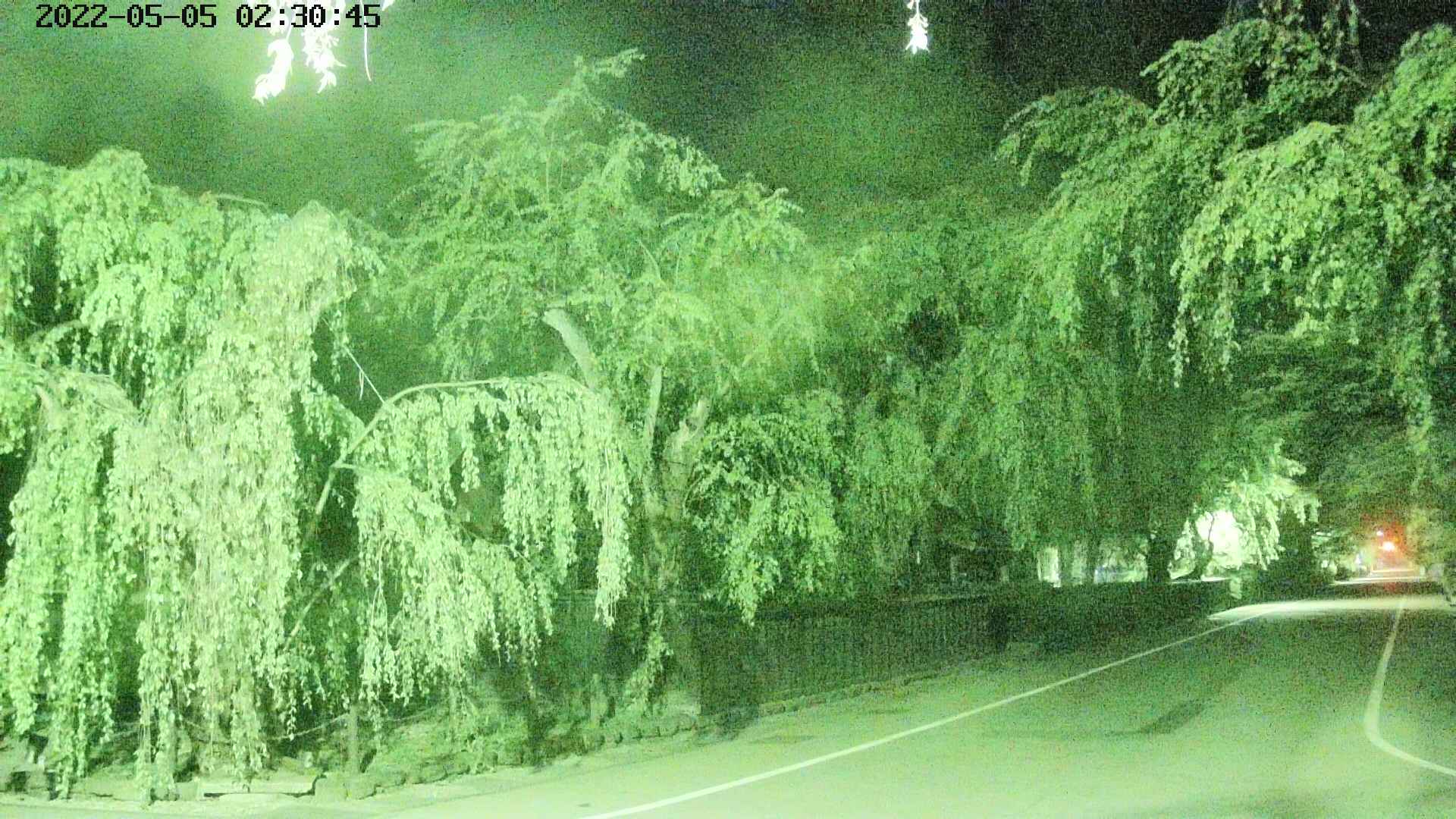 area4-20220505023047.jpg