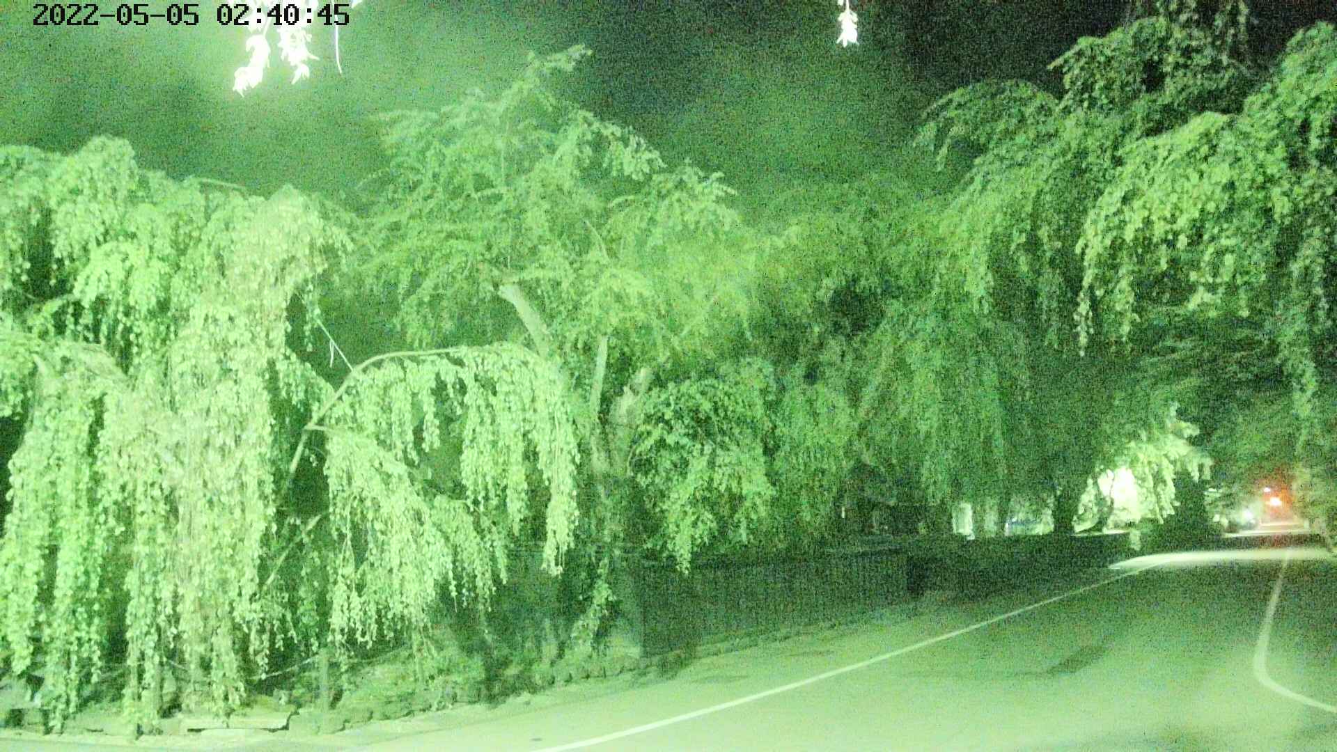 area4-20220505024048.jpg