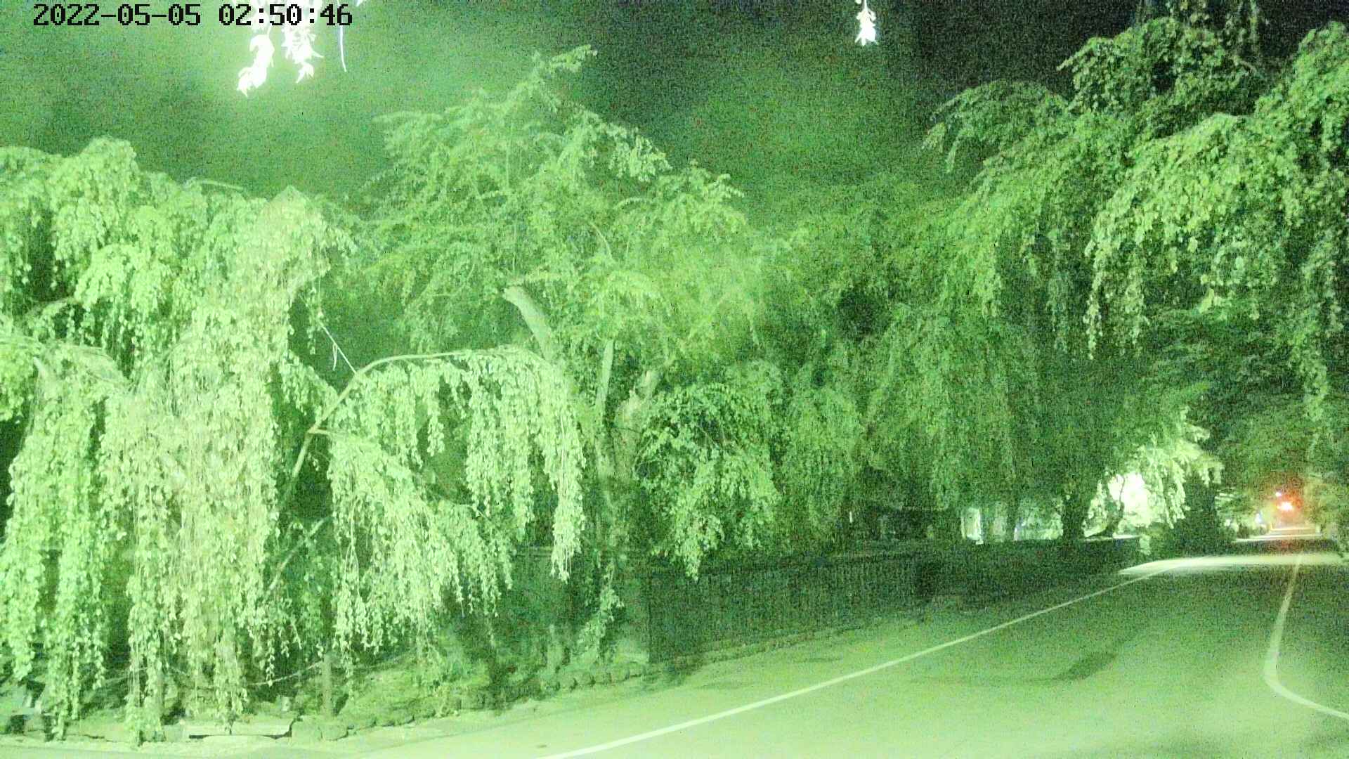 area4-20220505025048.jpg