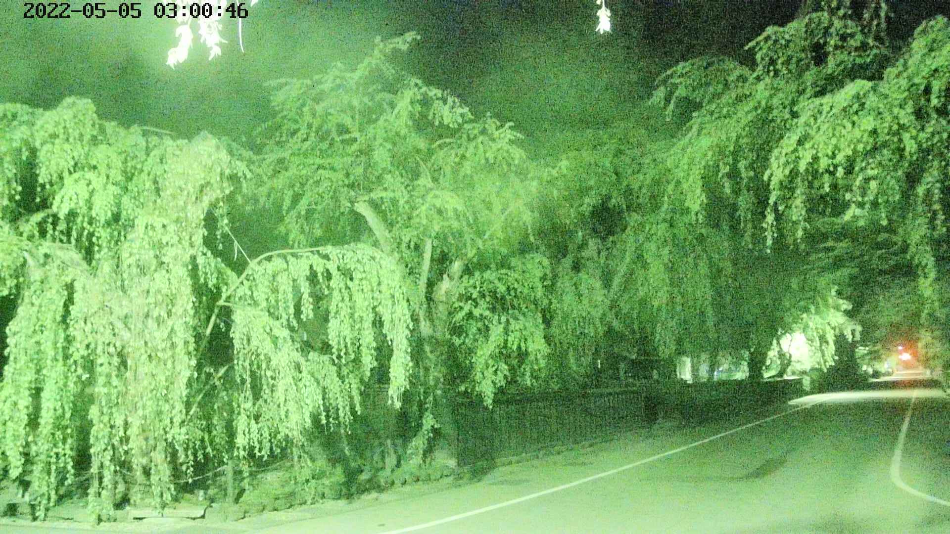 area4-20220505030048.jpg