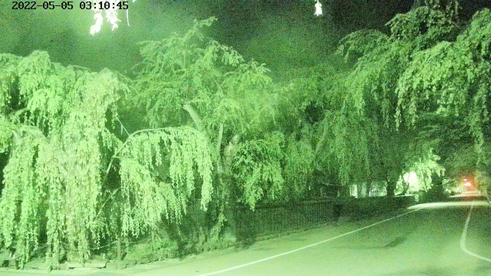 area4-20220505031048.jpg