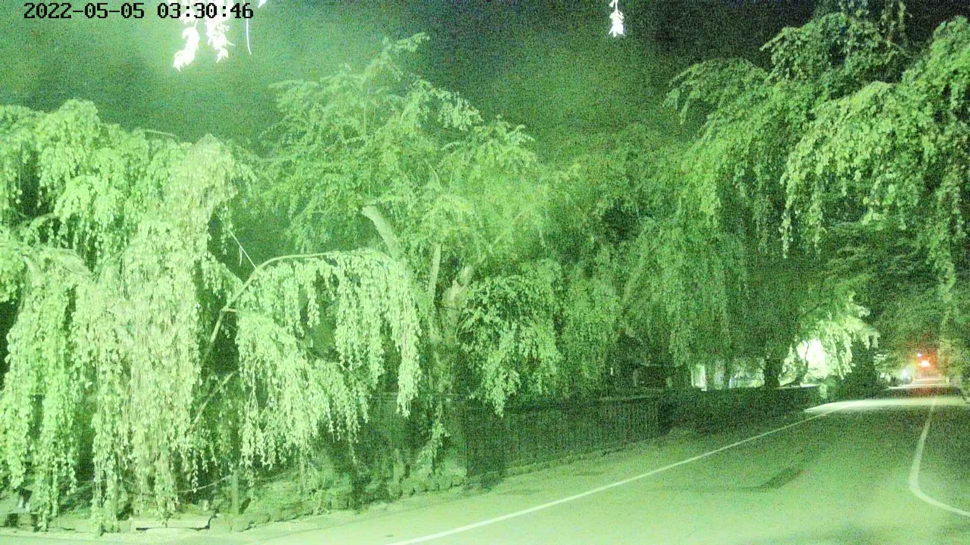 area4-20220505033048.jpg