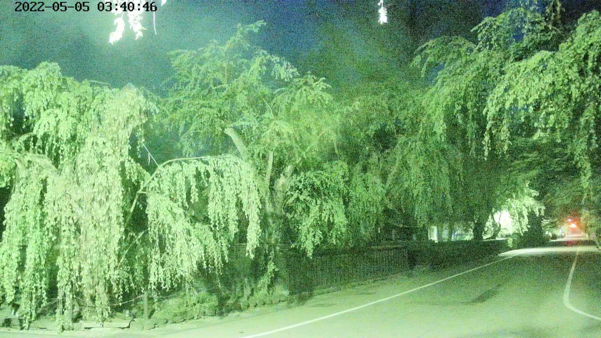 area4-20220505034048.jpg